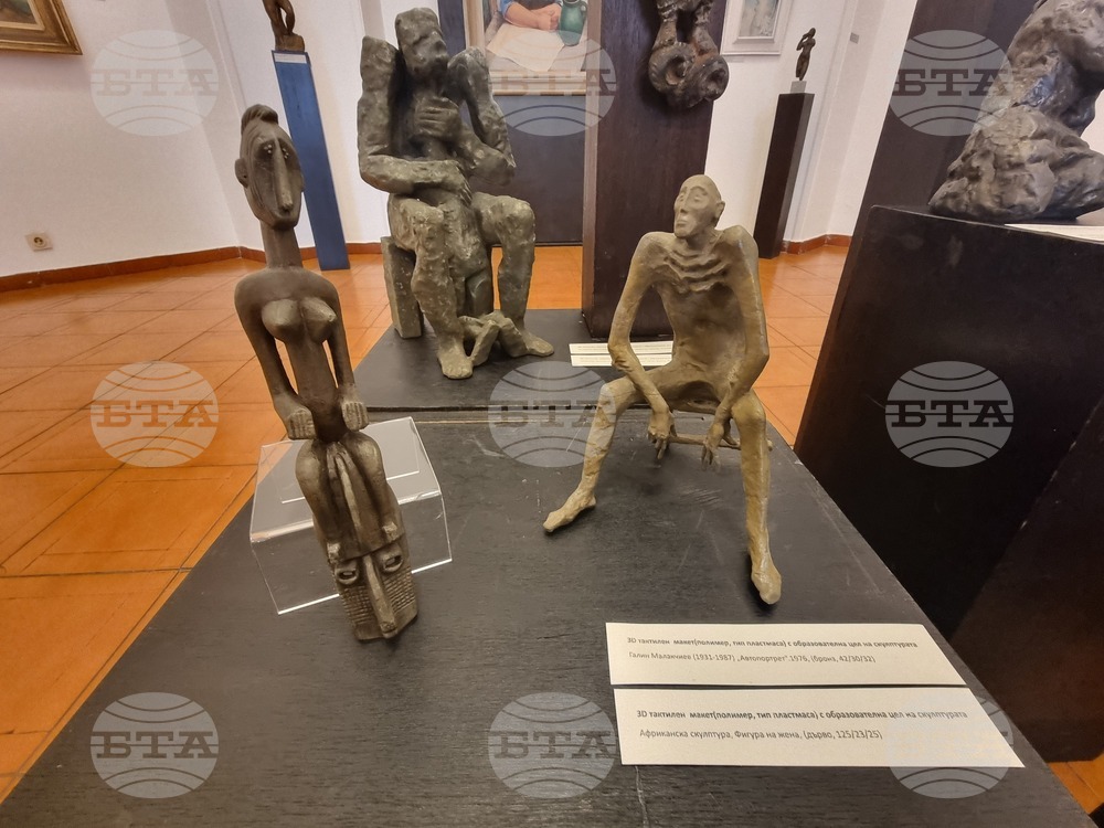 Плевен - галерии - изпълнен проект