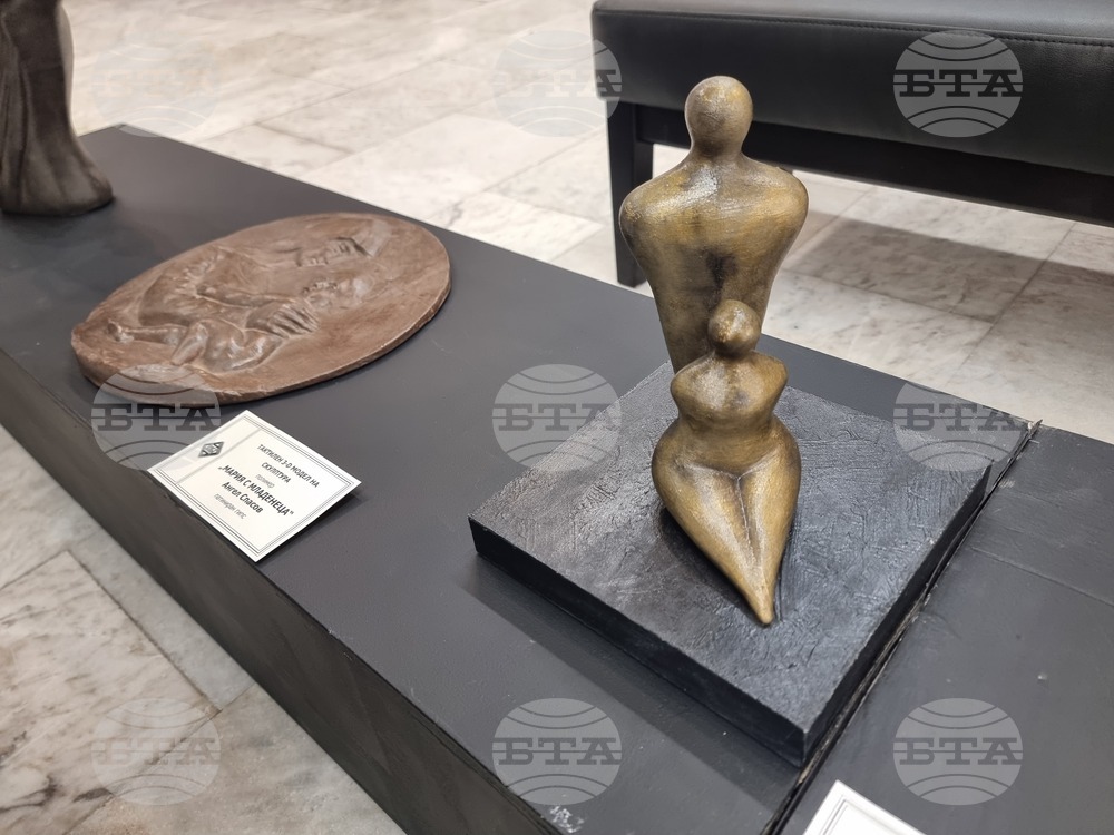 Плевен - галерии - изпълнен проект