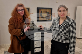 Плевен - галерии - изпълнен проект