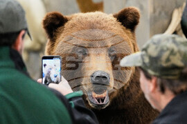 Germany Hunting Fair