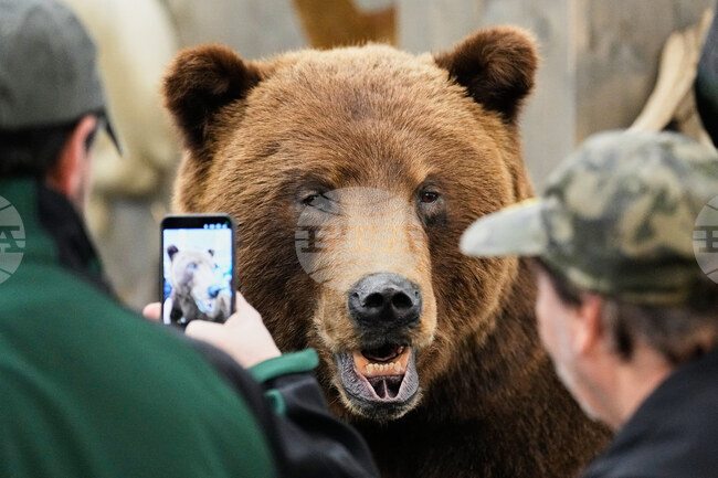 Germany Hunting Fair