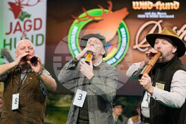 Germany Stag-Calling Contest