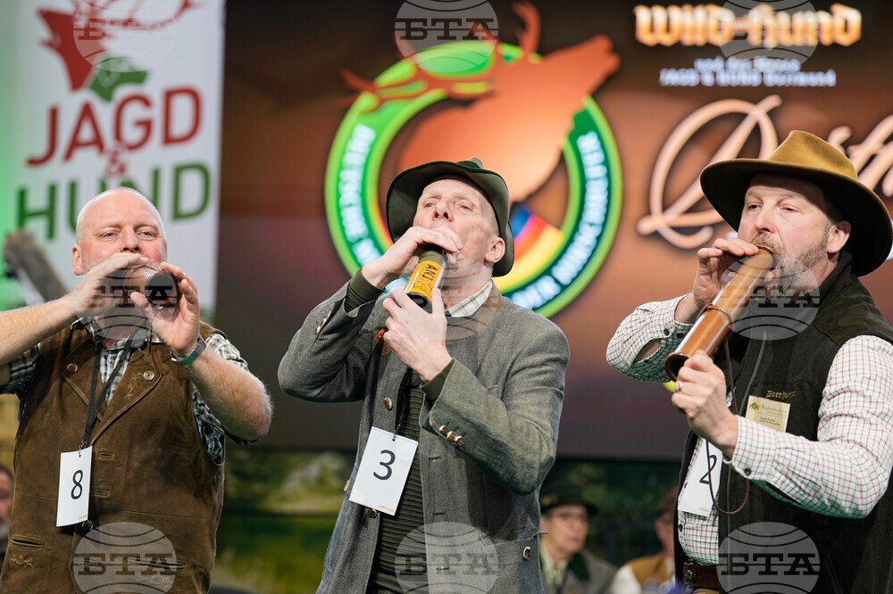 Germany Stag-Calling Contest