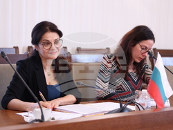 Снимка: Комисия за прякото участие на гражданите, жалбите и взаимодействието с гражданското общество