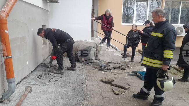 В Бургас спасиха коте, зазидано под блок по време на строителни дейности