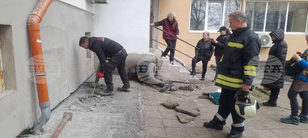 В Бургас спасиха коте, зазидано под блок по време на строителни дейности