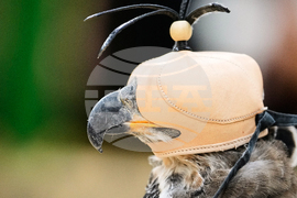 Germany Hunting Fair