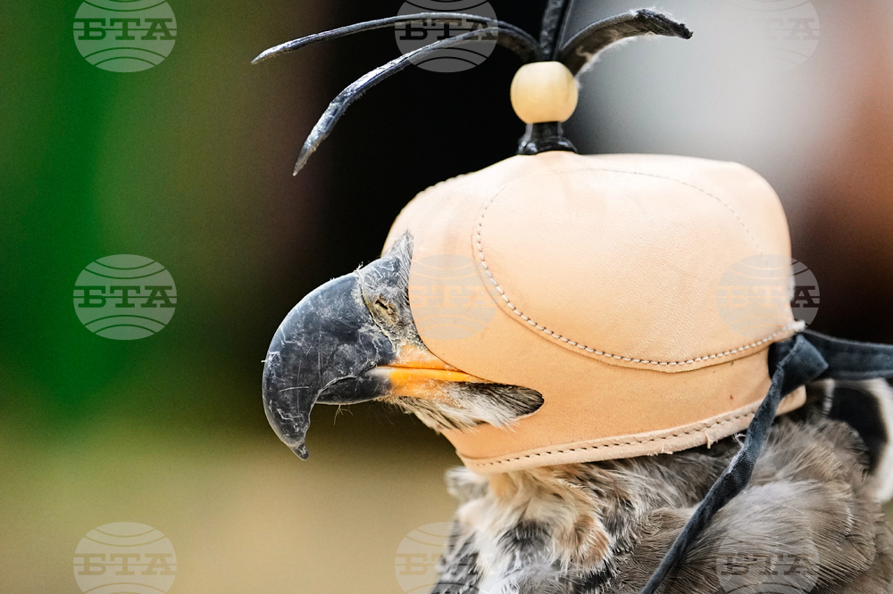 Germany Hunting Fair