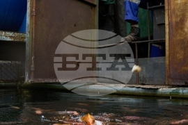 Cuba Self Sufficient