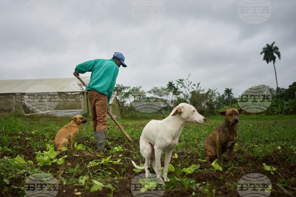 Cuba Self Sufficient