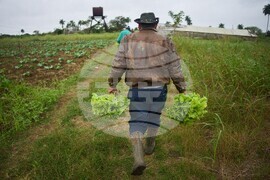 Cuba Self Sufficient