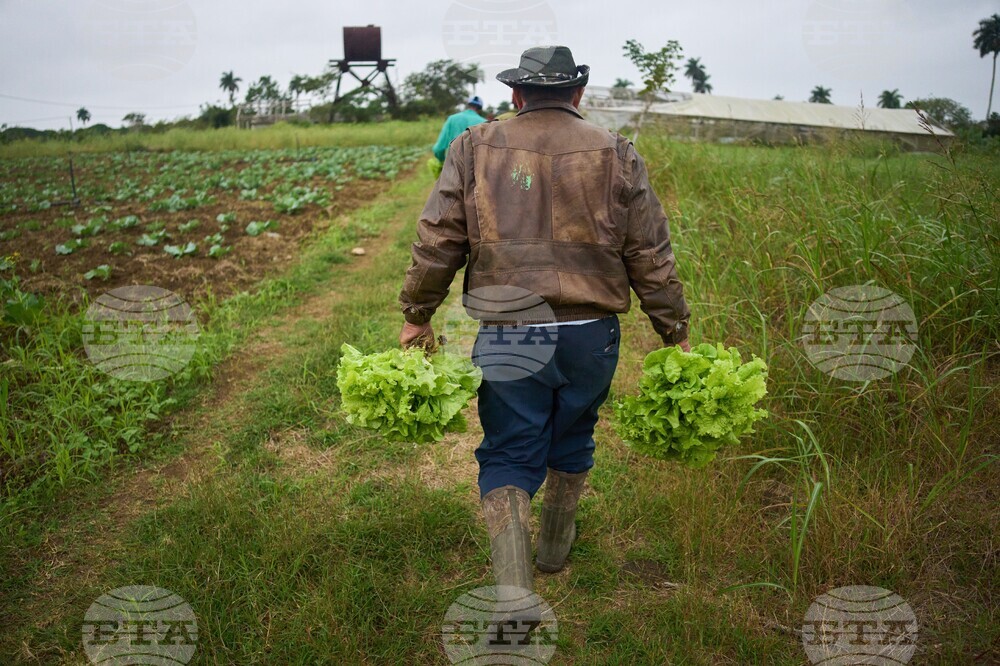 Cuba Self Sufficient
