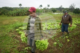Cuba Self Sufficient