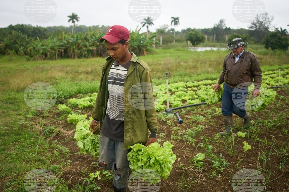 Cuba Self Sufficient