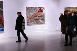 Съюз на българските художници - Валентин Дончевски - изложба