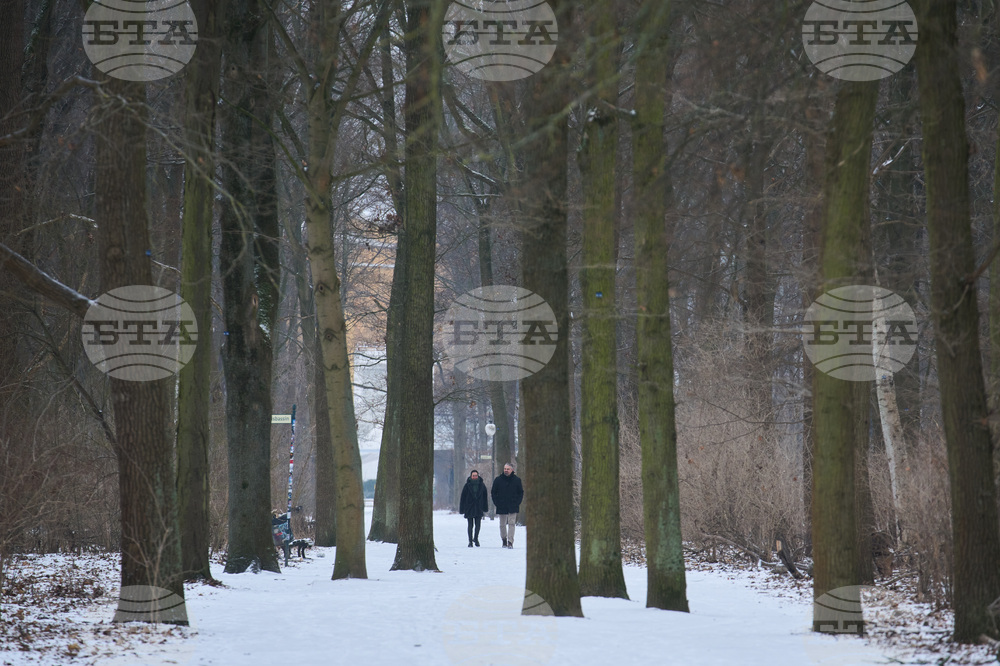 Полемика в Берлин дали да се използва сол срещу поледиците