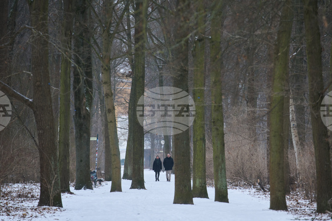 Полемика в Берлин дали да се използва сол срещу поледиците