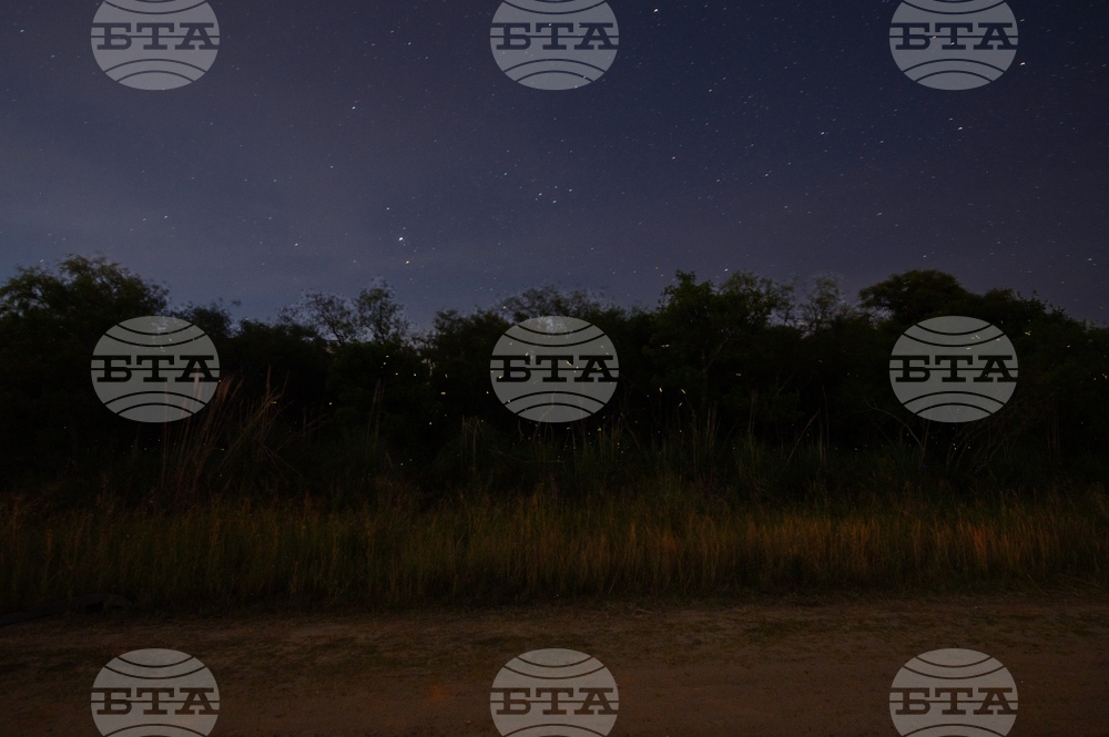 Climate Argentina Firefly Rescue