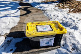 Immigration Enforcement Minnesota