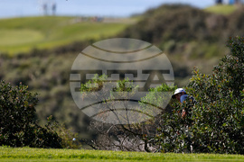 Farmers Insurance Open Golf