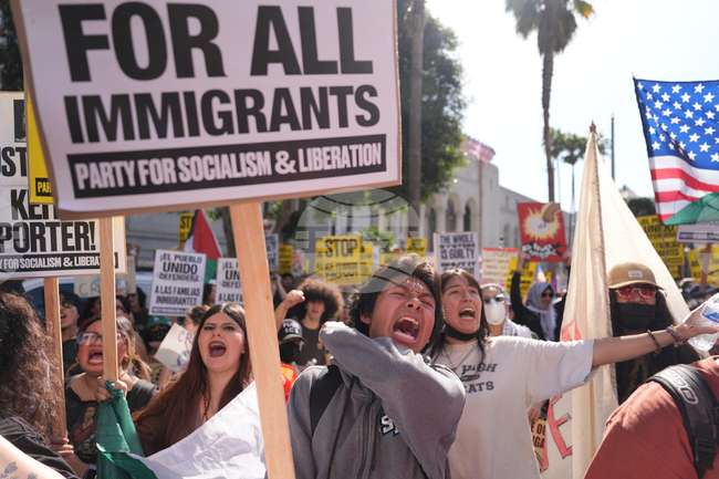 Immigration Enforcement California Protests