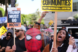 Immigration Enforcement California Protests
