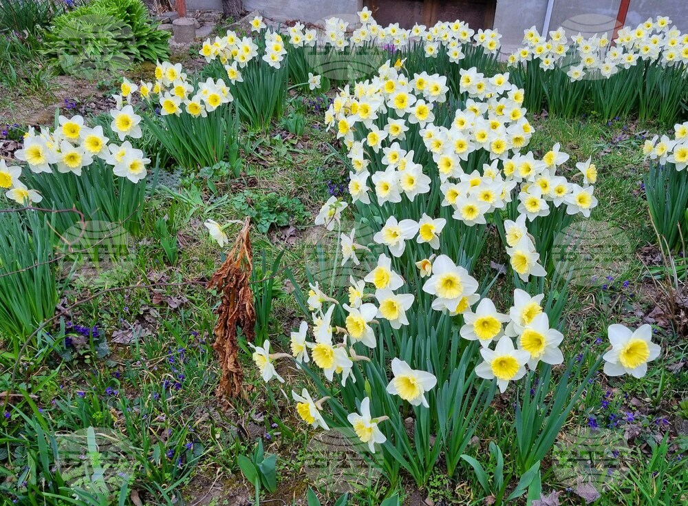 The Weather on March 20