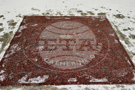 Catherine O'Hara tributes