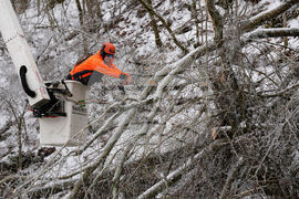 Winter Weather Tennessee