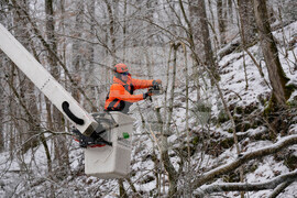 Winter Weather Tennessee