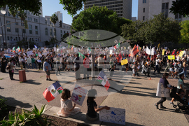 Immigration Enforcement California Protests