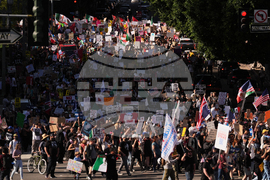 Immigration Enforcement California Protests
