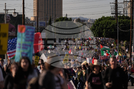Immigration Enforcement California Protests