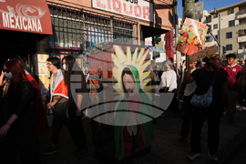 Immigration Enforcement California Protests