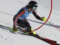 Sweden Alpine Skiing World Cup