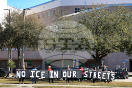 Anti ICE Protests Florida