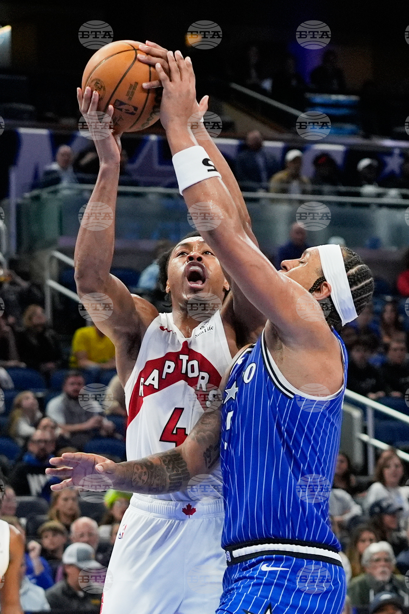 Raptors Magic Basketball