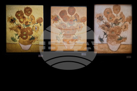 Нидерландия - Утрехт - изложба „Ван Гог: имерсивно преживяване“