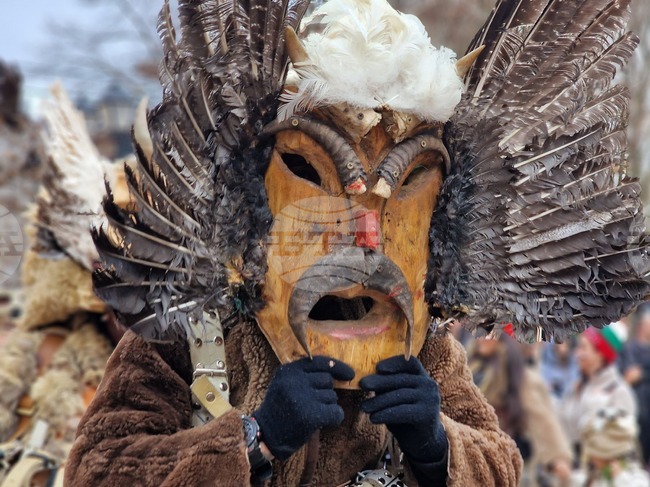  Трън - Зимен празник - маскараден фестивал