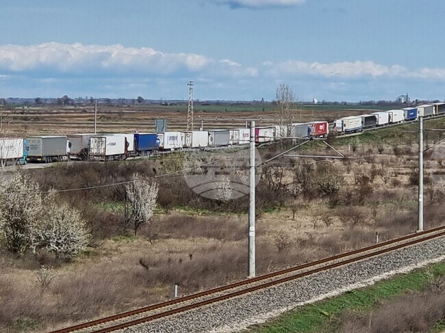 Видин - Дунав мост 2 - опашки