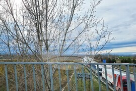 Видин - Дунав мост 2 - опашки