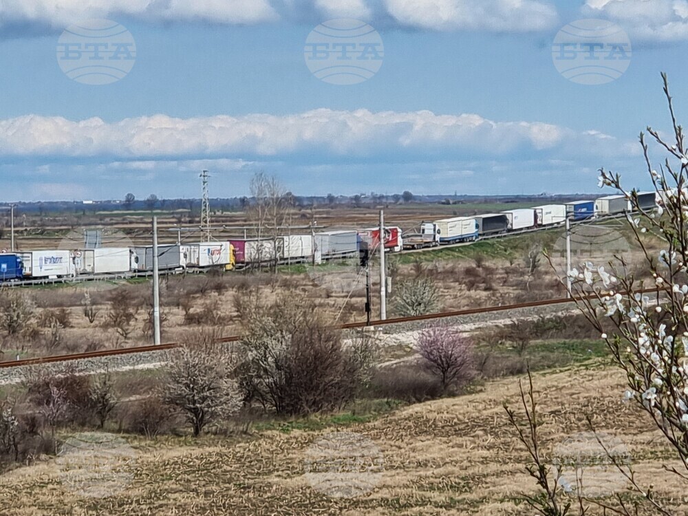 Видин - Дунав мост 2 - опашки