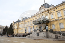 Художествена галерия Двореца - опашка