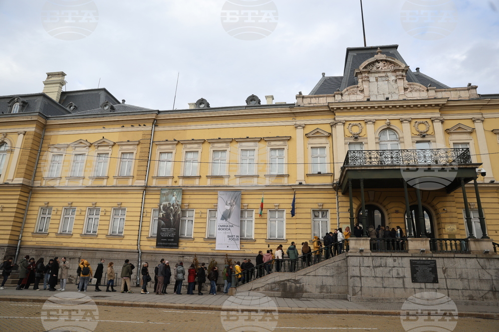 Художествена галерия Двореца - опашка