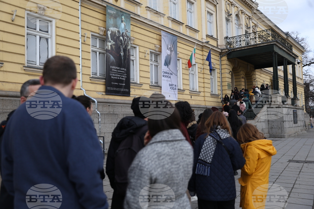 Художествена галерия Двореца - опашка