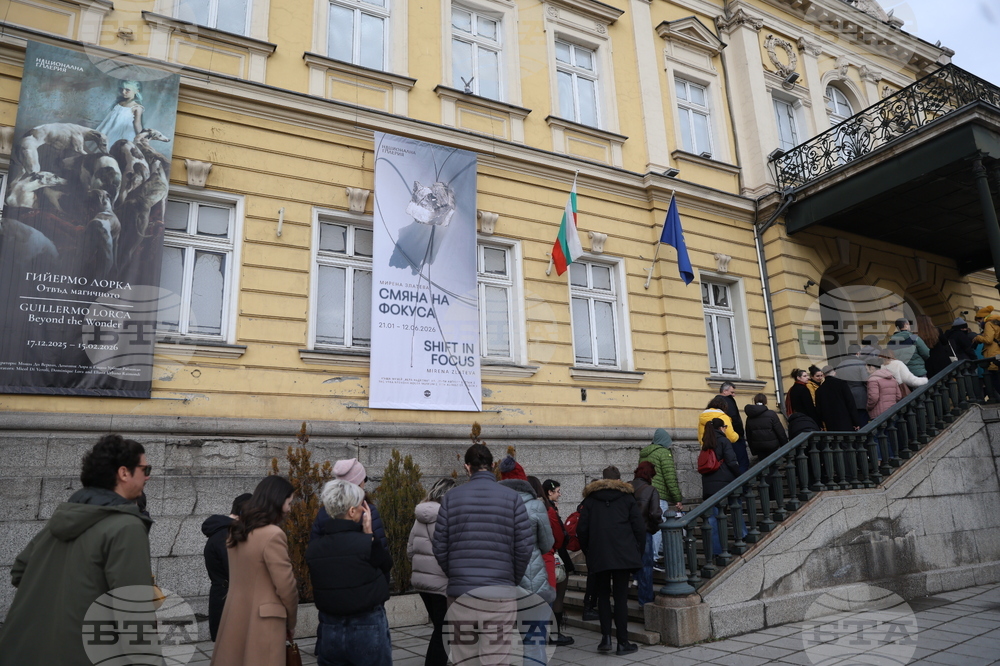 Художествена галерия Двореца - опашка