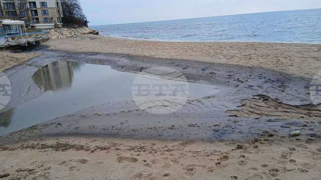 Northern Part of Varna's Kabakum Beach Polluted with Oil Products