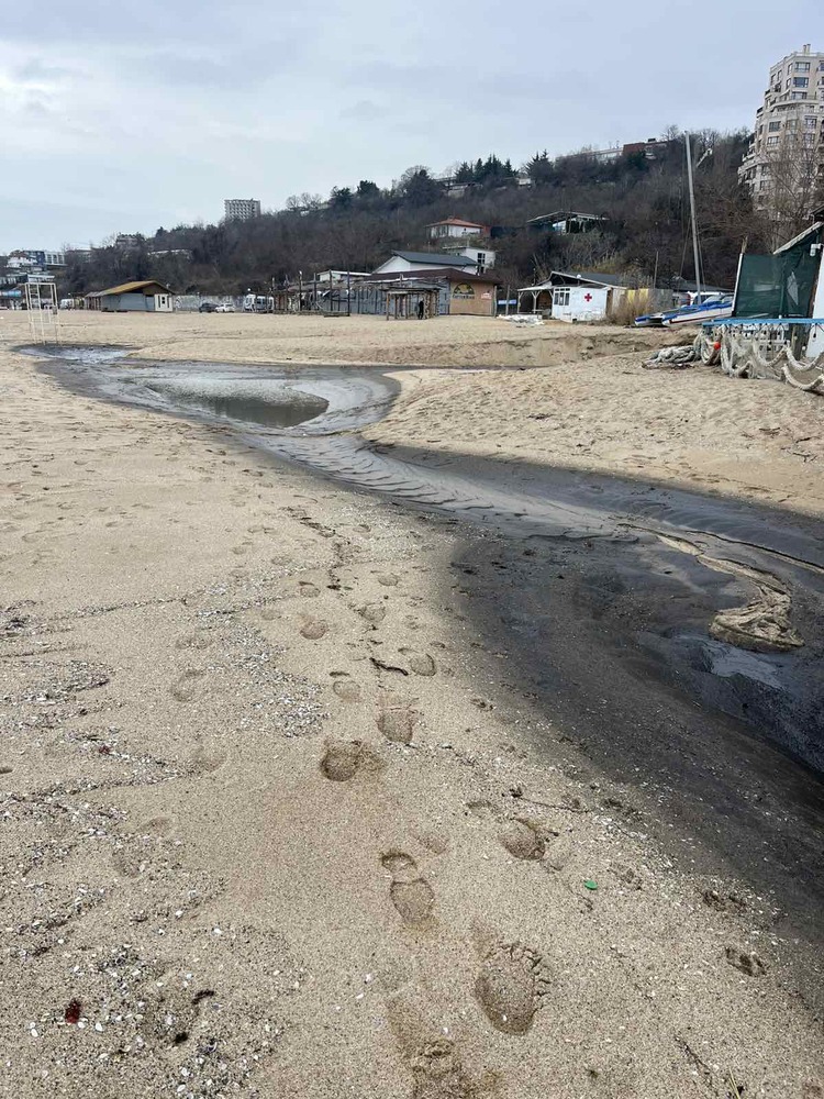 Плаж "Кабакум - Север" край Варна е почистен от нефтопродукти, съобщиха от Министерството на околната среда и водите