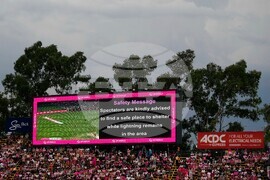 South Africa West Indies T20 Cricket