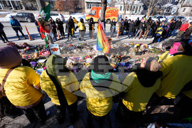 Immigration Enforcement Minnesota